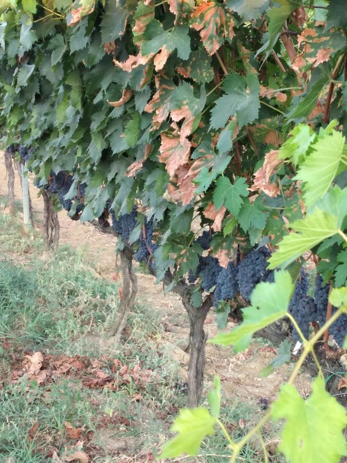Farm stay I Due Pini *