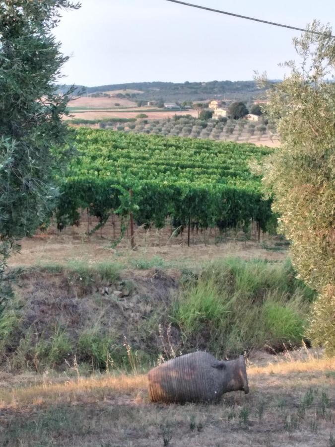 I Due Pini Farm stay Magliano in Toscana