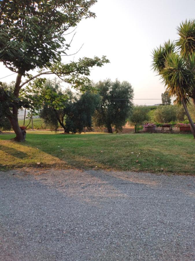 I Due Pini * Magliano in Toscana