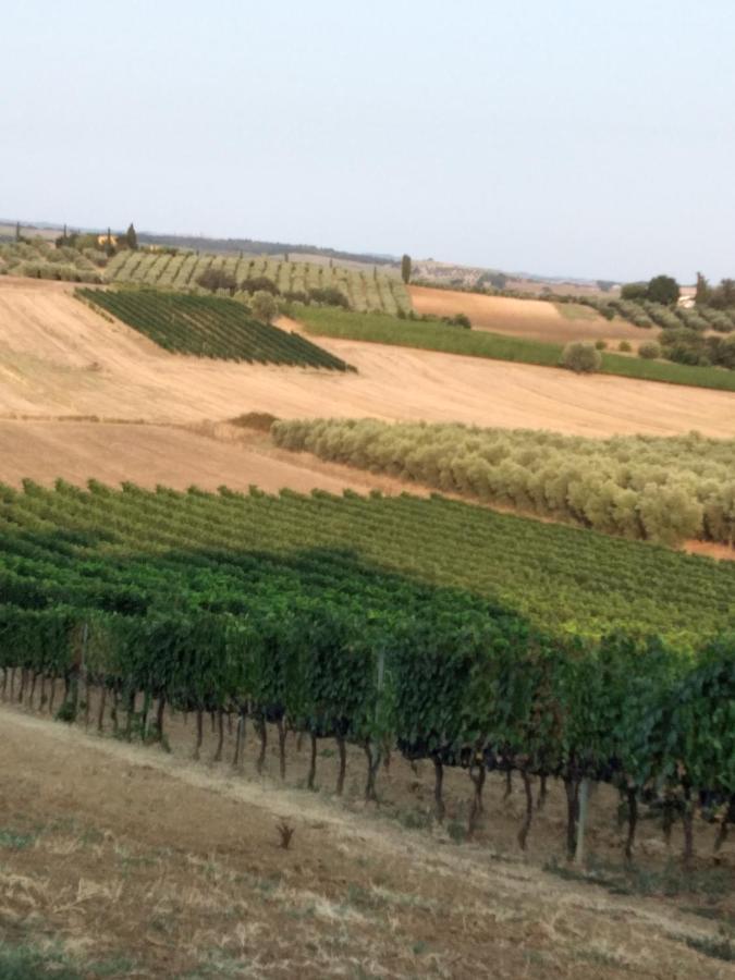 I Due Pini Magliano in Toscana