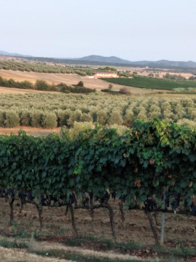 I Due Pini Magliano in Toscana