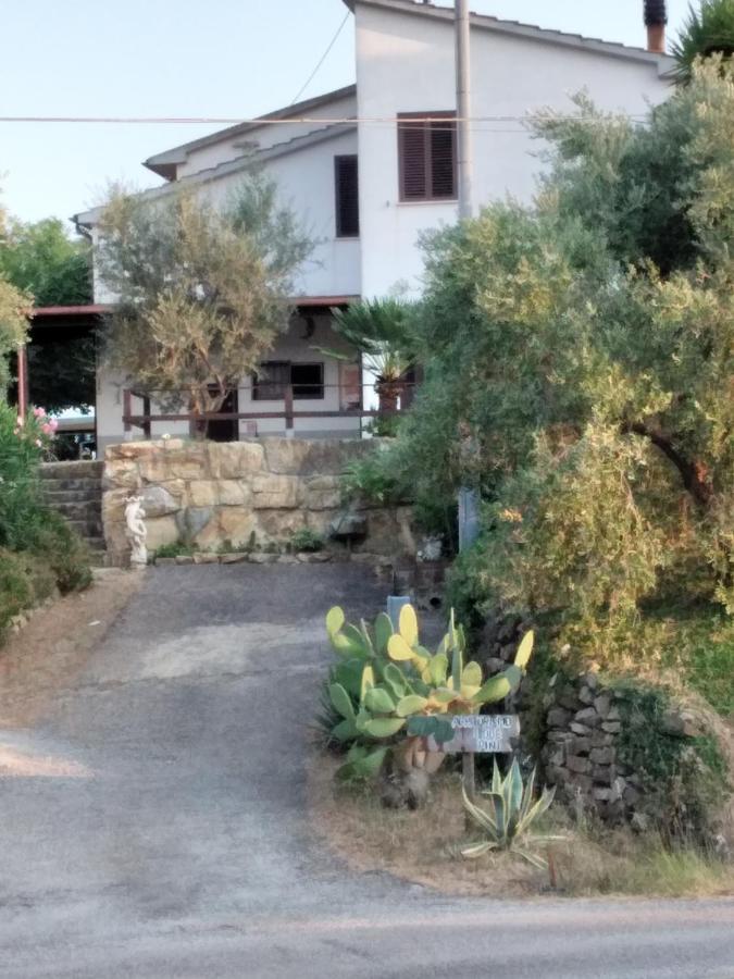I Due Pini * Magliano in Toscana