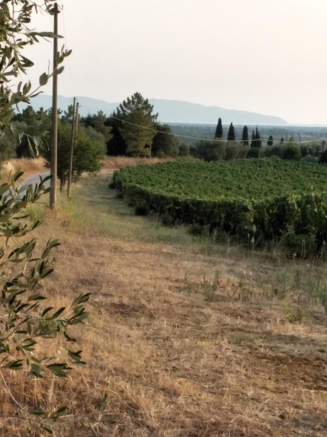Farm stay I Due Pini Magliano in Toscana