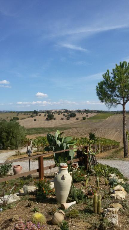 I Due Pini Farm stay *
