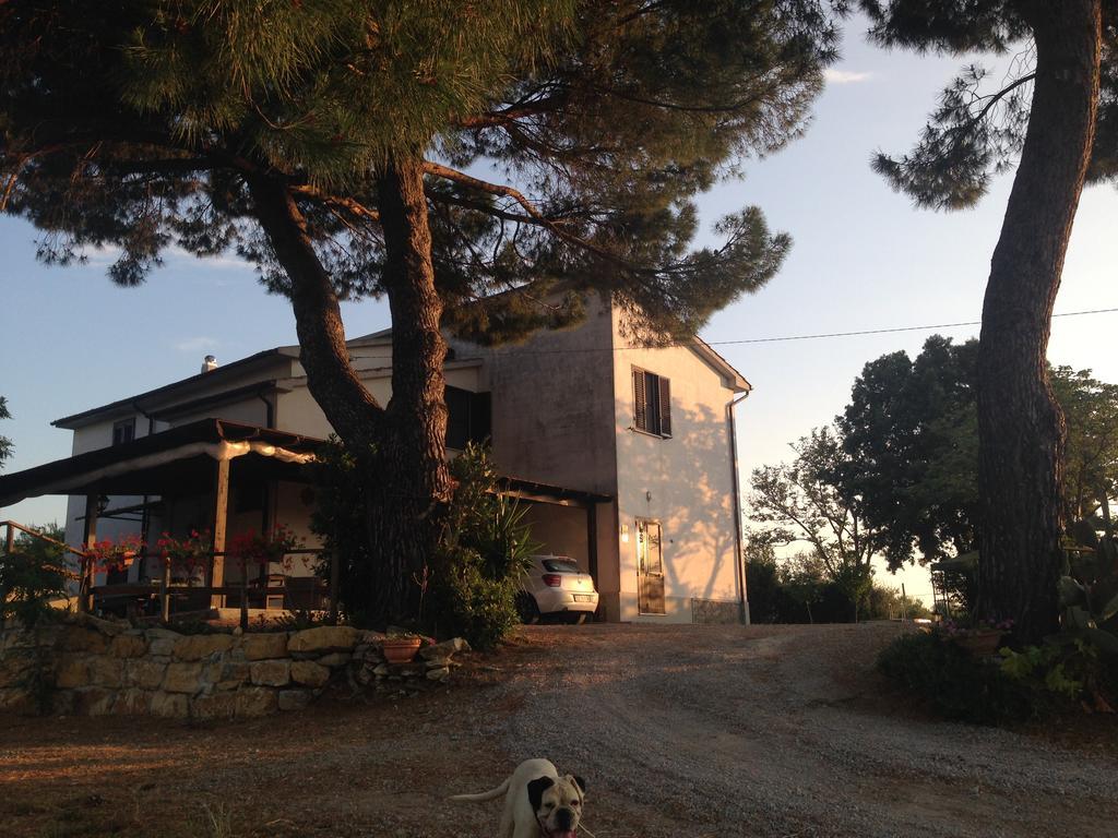 Farm stay I Due Pini Magliano in Toscana