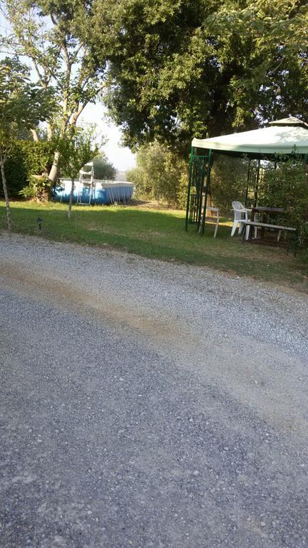 I Due Pini * Magliano in Toscana